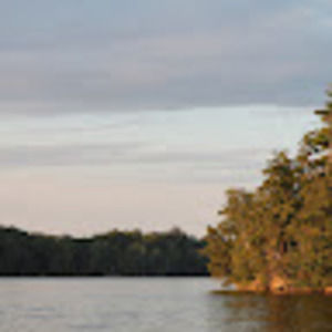 Meet your Posher, Amaris